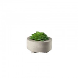 Artificial Plant Succulent II - Deko Green - Asa Selection