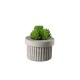 Planta Artificial Suculentas III - Deko Verde - Asa Selection ASA SELECTION ASA66242444