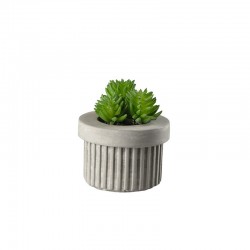 Artificial Plant Succulent III - Deko Green - Asa Selection ASA SELECTION ASA66242444