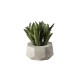 Artificial Plant Succulent IV - Deko Green - Asa Selection ASA SELECTION ASA66243444