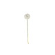 Allium Xl Twig - Deko White - Asa Selection ASA SELECTION ASA66625444