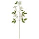 Tallo Artificial Clematis 78cm – Deko Blanco - Asa Selection ASA SELECTION ASA66639444