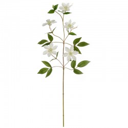 Artificial Clematis Cirrus Twig 78cm - Deko White - Asa Selection ASA SELECTION ASA66639444
