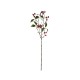 Single Berry Branch Red - Deko Red And Green - Asa Selection ASA SELECTION ASA66891444