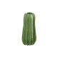 Vase 24Cm - Cactus Green - Asa Selection ASA SELECTION ASA72003062
