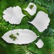 Leaf Plate 10Cm - Leafs White - Asa Selection ASA SELECTION ASA71031091