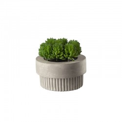 Maxi Succulent Artificial Plant III - Deko Green - Asa Selection ASA SELECTION ASA66252444