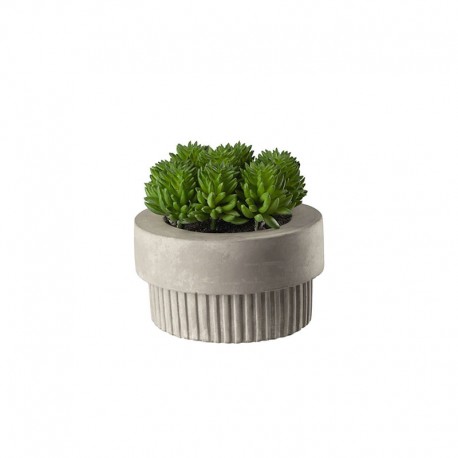 Planta Artificial Maxi Suculentas III - Deko Verde - Asa Selection ASA SELECTION ASA66252444