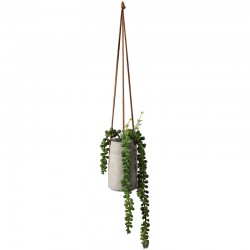 Maxi Hanging Succulent II - Deko Green - Asa Selection