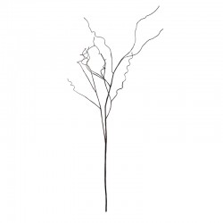 Branch Dark Brown 100cm - Deko - Asa Selection ASA SELECTION ASA66328444