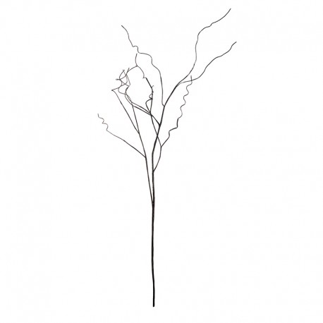 Branch Dark Brown 100cm - Deko - Asa Selection ASA SELECTION ASA66328444