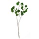 Leave Twig 79cm – Deko Green - Asa Selection ASA SELECTION ASA66469444