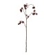 Fruit Branch Red 93cm - Deko - Asa Selection ASA SELECTION ASA66478444
