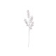 Berry Twig White - Deko - Asa Selection ASA SELECTION ASA66483444