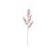 Berry Twig Rose - Deko - Asa Selection ASA SELECTION ASA66484444