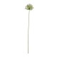 Artificial Agapanthus Twig 75cm - Deko White - Asa Selection ASA SELECTION ASA66627444