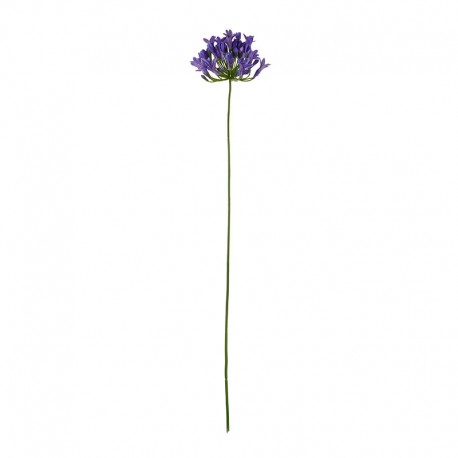 Artificial Agapanthus Twig 75cm Lilac - Deko - Asa Selection ASA SELECTION ASA66629444