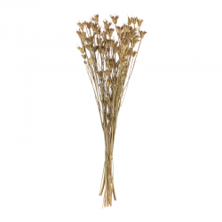 Artificial Flower Aquilea 70-75cm - Deko - Asa Selection ASA SELECTION ASA66636444