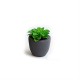 Planta Artificial Suculentas II - Deko Verde - Asa Selection ASA SELECTION ASA11771000