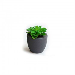 Artificial Plant Succulent II - Deko Green - Asa Selection ASA SELECTION ASA11771000