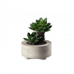 Planta Artificial Maxi Suculentas V - Deko Verde - Asa Selection ASA SELECTION ASA66254444