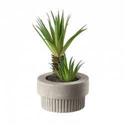 Planta Artificial Maxi Suculentas VI - Deko Verde - Asa Selection ASA SELECTION ASA66255444