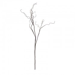 Branch Light Brown 100cm - Deko - Asa Selection ASA SELECTION ASA66329444