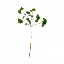 Tallo Ginkgo 72cm – Deko Verde - Asa Selection ASA SELECTION ASA66467444