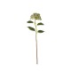 Artificial Hydrangea Twig 43cm Blue – Deko - Asa Selection ASA SELECTION ASA66634444