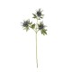 Artificial Thistle Twig 67cm Blue – Deko - Asa Selection ASA SELECTION ASA66646444
