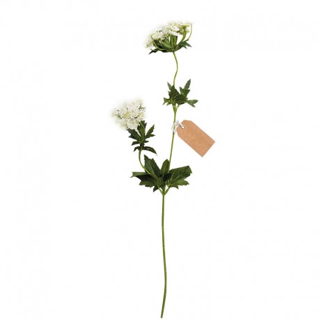 Artificial Yarrow Twig 76cm - Deko White - Asa Selection ASA SELECTION ASA66659444