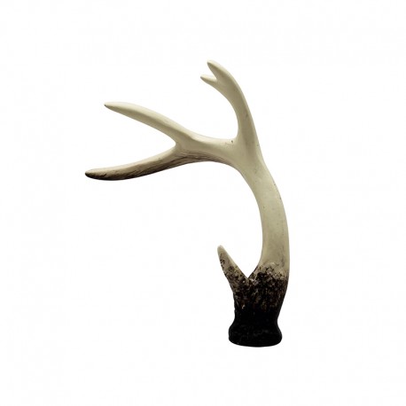 Deer Horn - Deko - Asa Selection ASA SELECTION ASA66760444