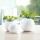 Vase Ball 11Cm - Balls White - Asa Selection ASA SELECTION ASA11348005