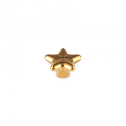 Pega 5,7cm Estrela Dourado - Signature - Le Creuset LE CREUSET LC94045570000002