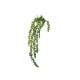 Succulent Hanging 50cm - Deko Green - Asa Selection ASA SELECTION ASA11630000