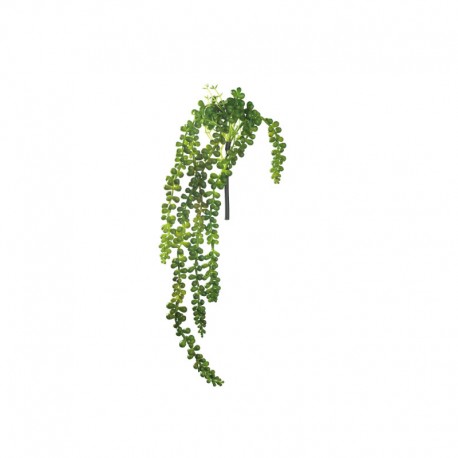 Helecho Suculentas 50cm - Deko Verde - Asa Selection ASA SELECTION ASA11630000