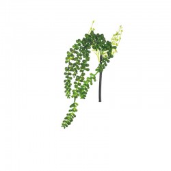 Succulent Hanging 30cm - Deko Green - Asa Selection ASA SELECTION ASA11631000
