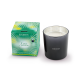 Refillable Scented Candle 450gr - Eau d'Amazonie Green - Esteban Parfums ESTEBAN PARFUMS ESTAMA-011