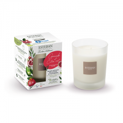 Scented Candle 180gr - Pomegranate and Lime - Esteban Parfums