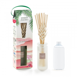 Bouquet Perfumado Initial 100ml - Lotus e Amêndoa Doce - Esteban Parfums ESTEBAN PARFUMS ESTBLA-001