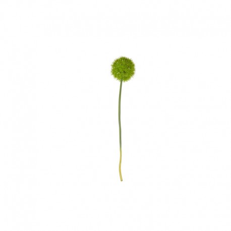 Allium Xl Twig - Deko Green - Asa Selection ASA SELECTION ASA66624444