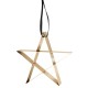 Star Ornament Large Gold - Figura - Stelton STELTON STT10607