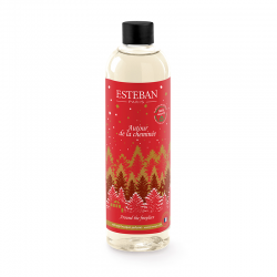 Refillable Scented Bouquet 250ml - Around the Fireplace - Esteban Parfums ESTEBAN PARFUMS ESTELN-112