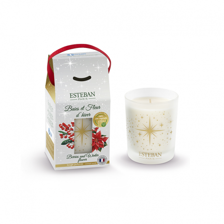 Vela Perfumada Recargable 180gr - Bayas y Flor de Invierno - Esteban Parfums ESTEBAN PARFUMS ESTELN-180
