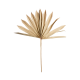 Flores Artificiais 3x Folha de Palma 20-30cm - Deko - Asa Selection ASA SELECTION ASA66502444