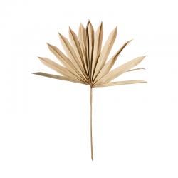 Flores Artificiais 3x Folha de Palma 20-30cm - Deko - Asa Selection ASA SELECTION ASA66502444