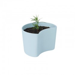 Planting Pot with Seeds Blue - Your Tree - Rig-tig