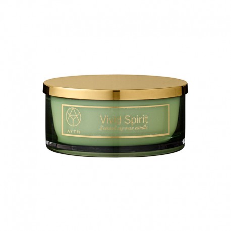 Frasco Com Vela Perfumada 500ml - Tota Verde - Aytm AYTM AYT500940564051