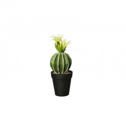 Florero Con Cactus 'Echino Grusani' 26cm - Deko Verde E Preto - Asa Selection