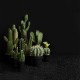 Florero Con Cactus 'Echino Grusani' 26cm - Deko Verde E Preto - Asa Selection ASA SELECTION ASA66201444
